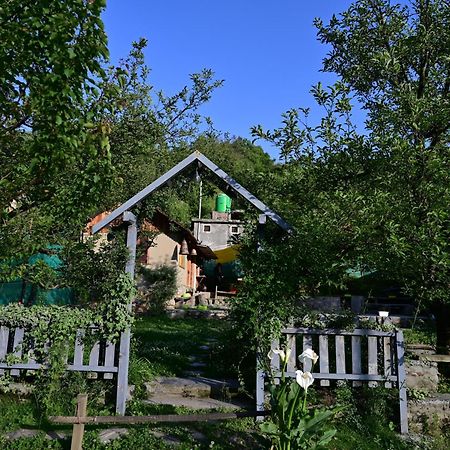 Himalayan Mud Resort カソル エクステリア 写真